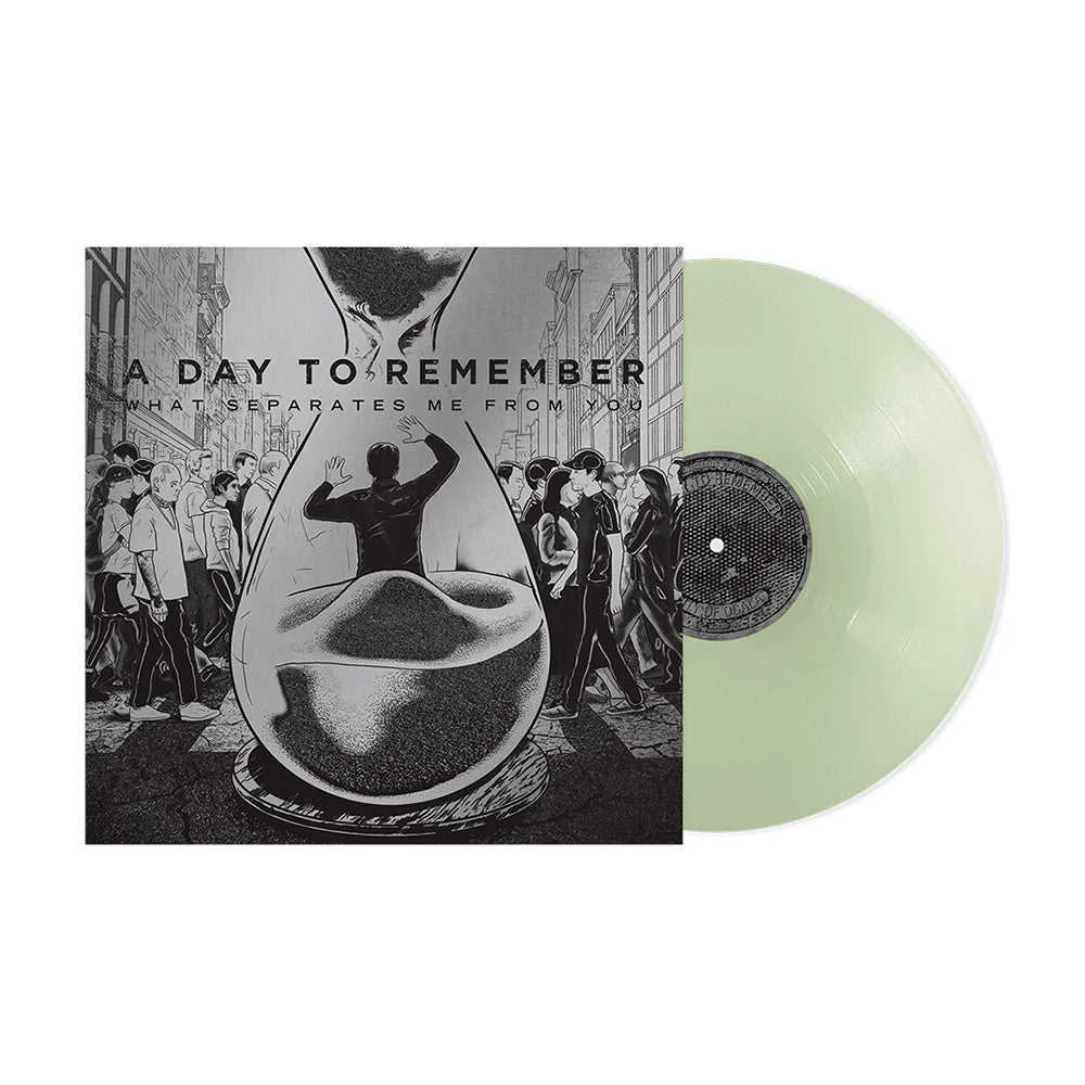 A Day To Remember - What Separates Me From You Vinyl record and cover for 'A Day to Remember' album on a white background