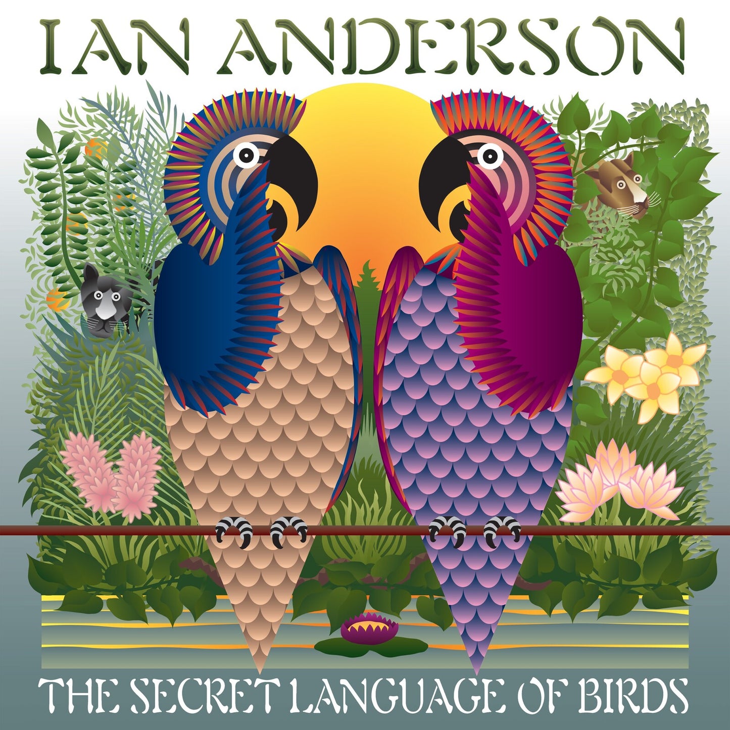 Ian Anderson - The Secret Language Of Birds Book cover with two colorful parrots on a branch surrounded by foliage and flowers, featuring the text 'Ian Anderson The Secret Language of Birds'.