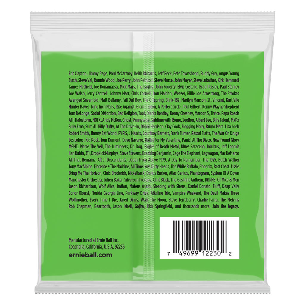 Ernie Ball 12 String Slinky 8-40