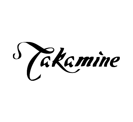 Takamine Acoustic