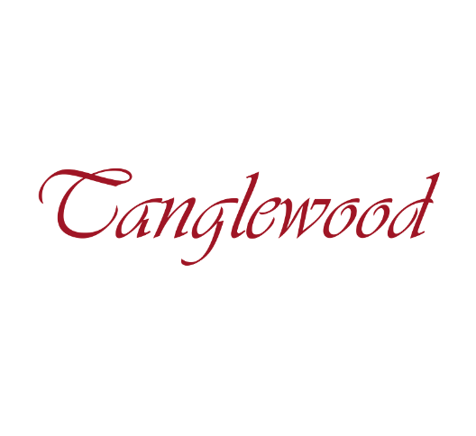 Tanglewood Acoustic