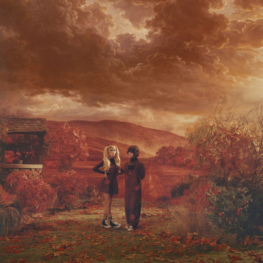 DOMi & JD BECK - WHO ASKED? (Transparent Olive) Vinyl Two people standing in a landscape with a dramatic sky and autumnal colors.