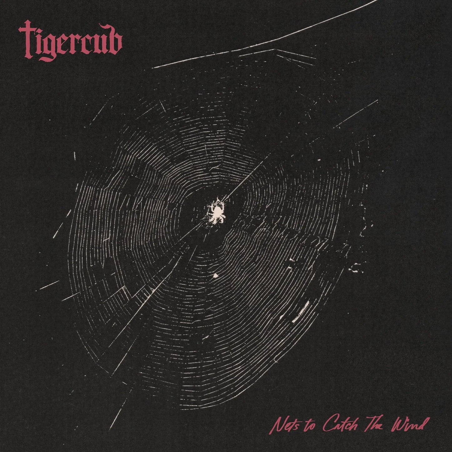 Tigercub - Nets to Catch the Wind (Granite) Vinyl Album cover with spider on a web, featuring the text 'tigercub' and 'Nets to Catch The Wind'.