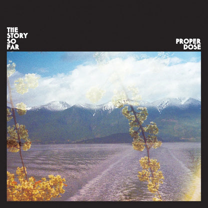 The Story So Far - Proper Dose (Smores Marble) Vinyl Cover