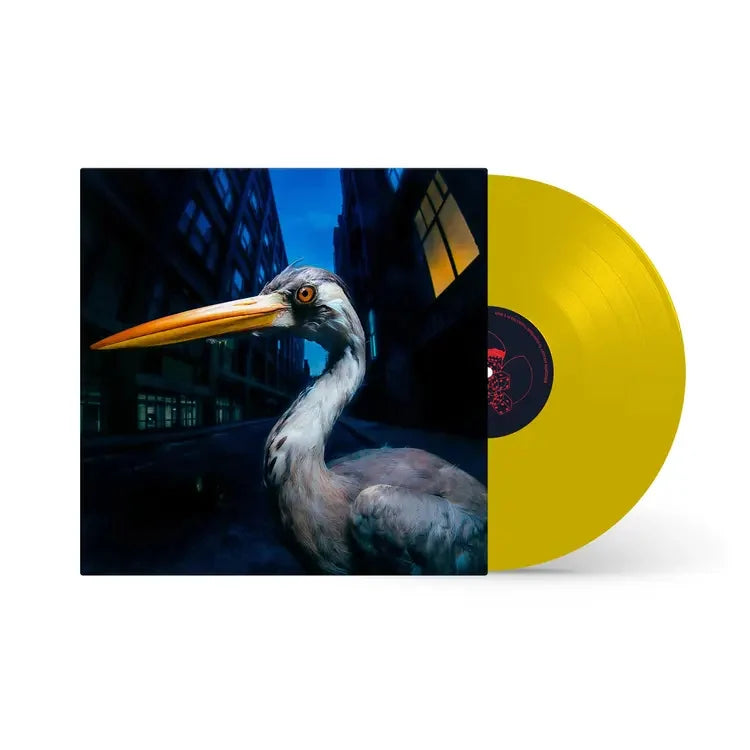 Antony Szmierek - Decoding Birdsong (Beak Yellow) Vinyl