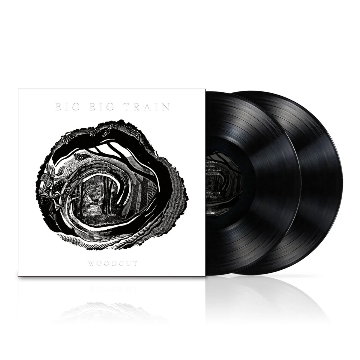 Big Big Train - Woodcut  Vinyl album with cover featuring 'Big Big Train' and 'Woodcut' on a white background