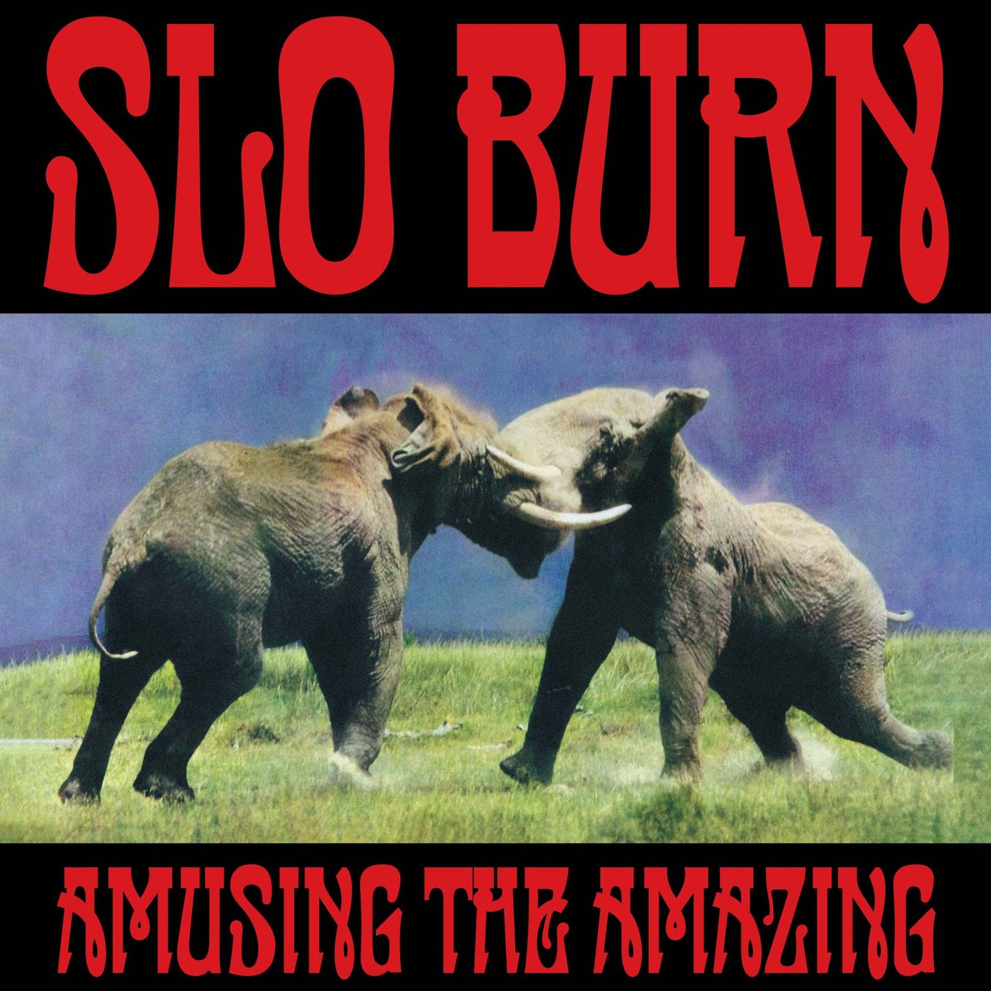Slo Burn - Amusing The Amazing Album cover with two elephants facing each other and text 'SLO BURN' and 'AMUSING THE AMAZING' at the top and bottom.