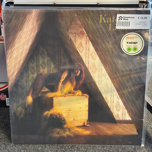 Kate Bush - Lionheart Vintage Vinyl LP A vinyl record sleeve for Kate Bush's 'Hearsay' on a clear plastic shrink wrap, photographed on a gray carpet. The cover art shows a woman sitting on a wooden box in a dimly lit attic with wallpapered walls and a dog on the floor.