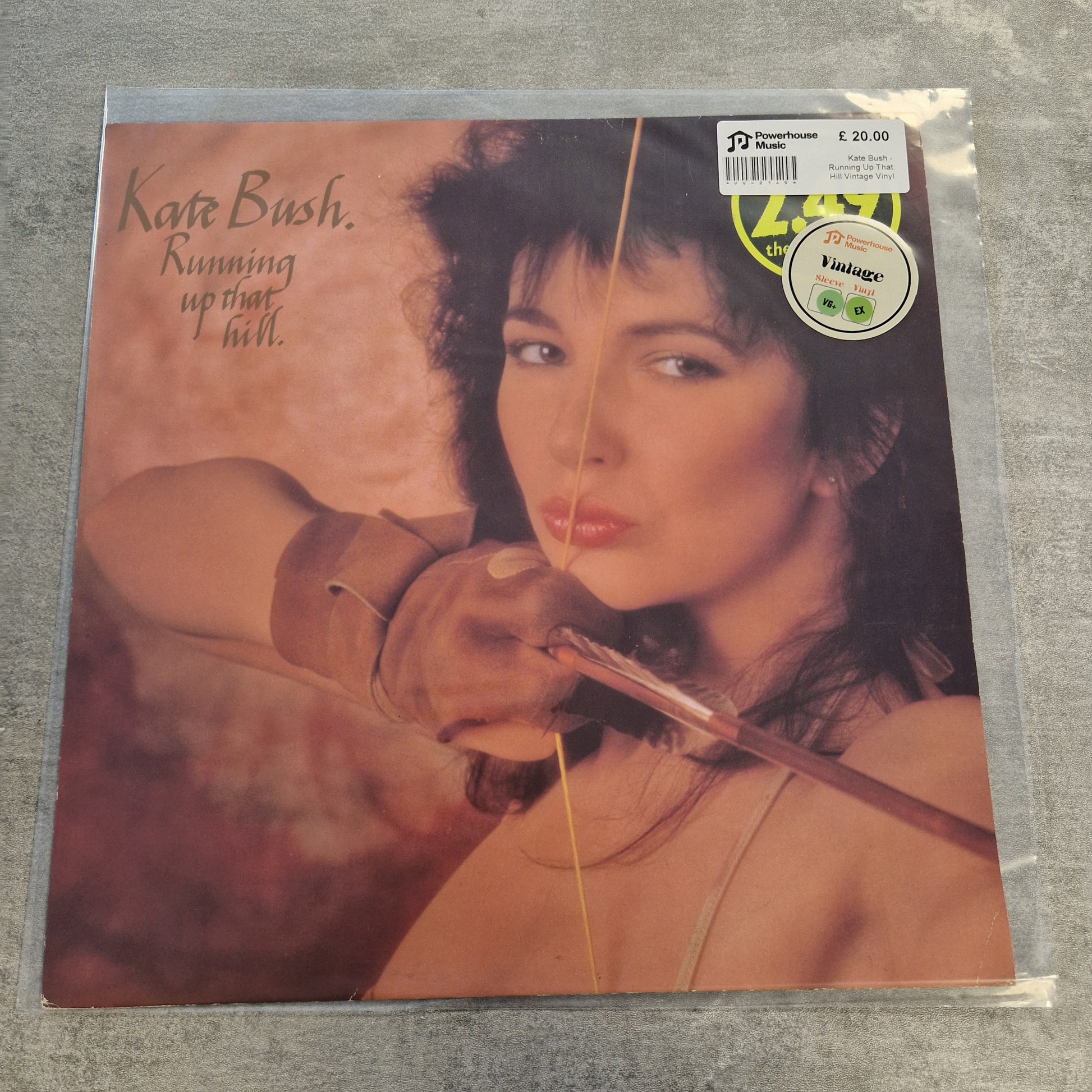Kate Bush - Running Up That Hill Vintage Vinyl 12" Single A vinyl record sleeve for Kara Bush's album 'Knowing How to Die' is sealed in a clear plastic protective sleeve, resting on a gray textured surface. The cover art features a warm, sepia-toned close-up portrait of a woman holding a violin bow, with the artist's name and album title printed in script.