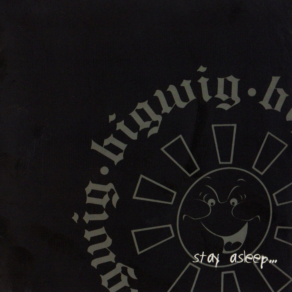 Bigwig - Stay Asleep Vinyl