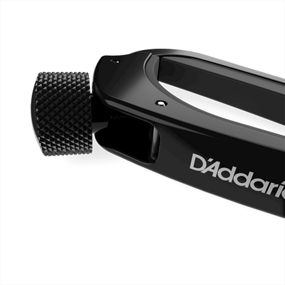 D'Addario Pro Capo