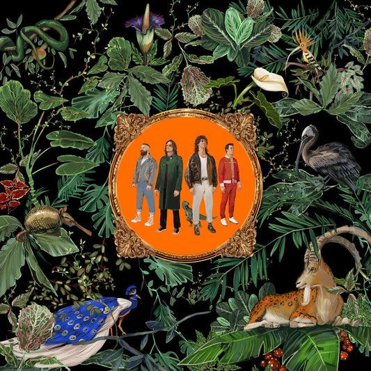 Don Broco - Amazing Things Vinyl