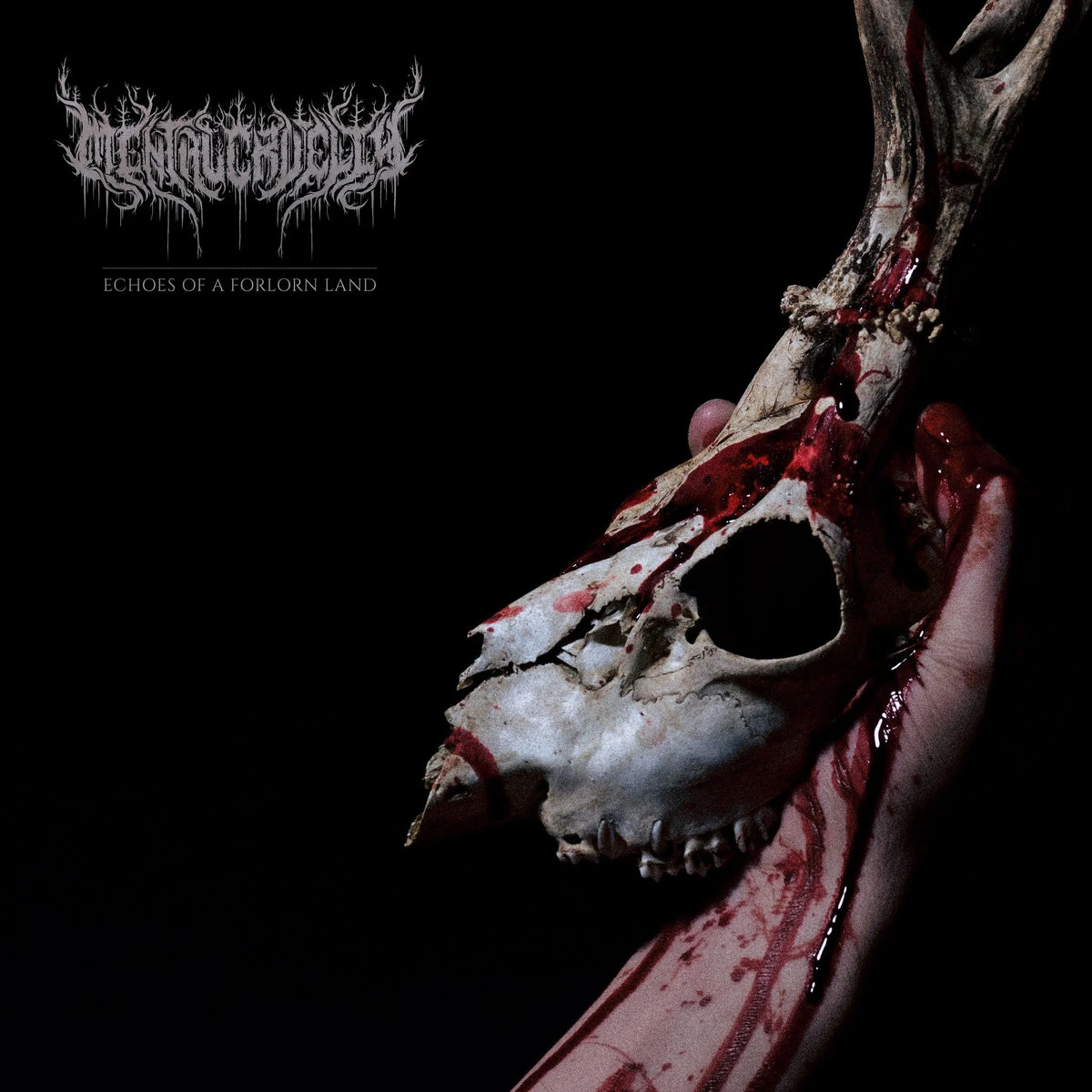 Mental Cruelty - Echoes Of A Forlorn Land (Transparent Red) Vinyl