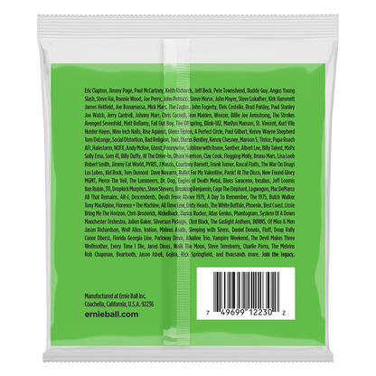 Ernie Ball 12 String Slinky 8-40