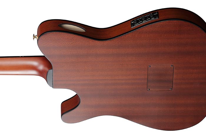 Close-up of a wooden electric guitar body on a white background