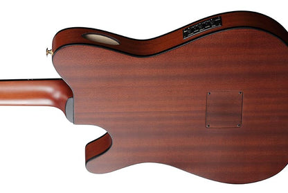 Close-up of a wooden electric guitar body on a white background