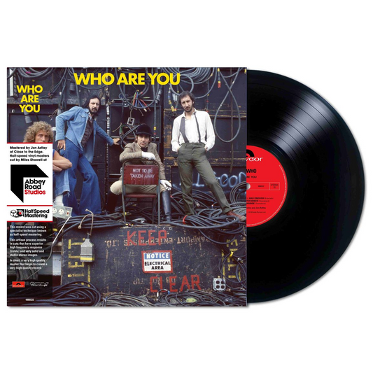 The Who - Who Are You Vinyl record with cover featuring four men and text 'WHO ARE YOU' on a white background